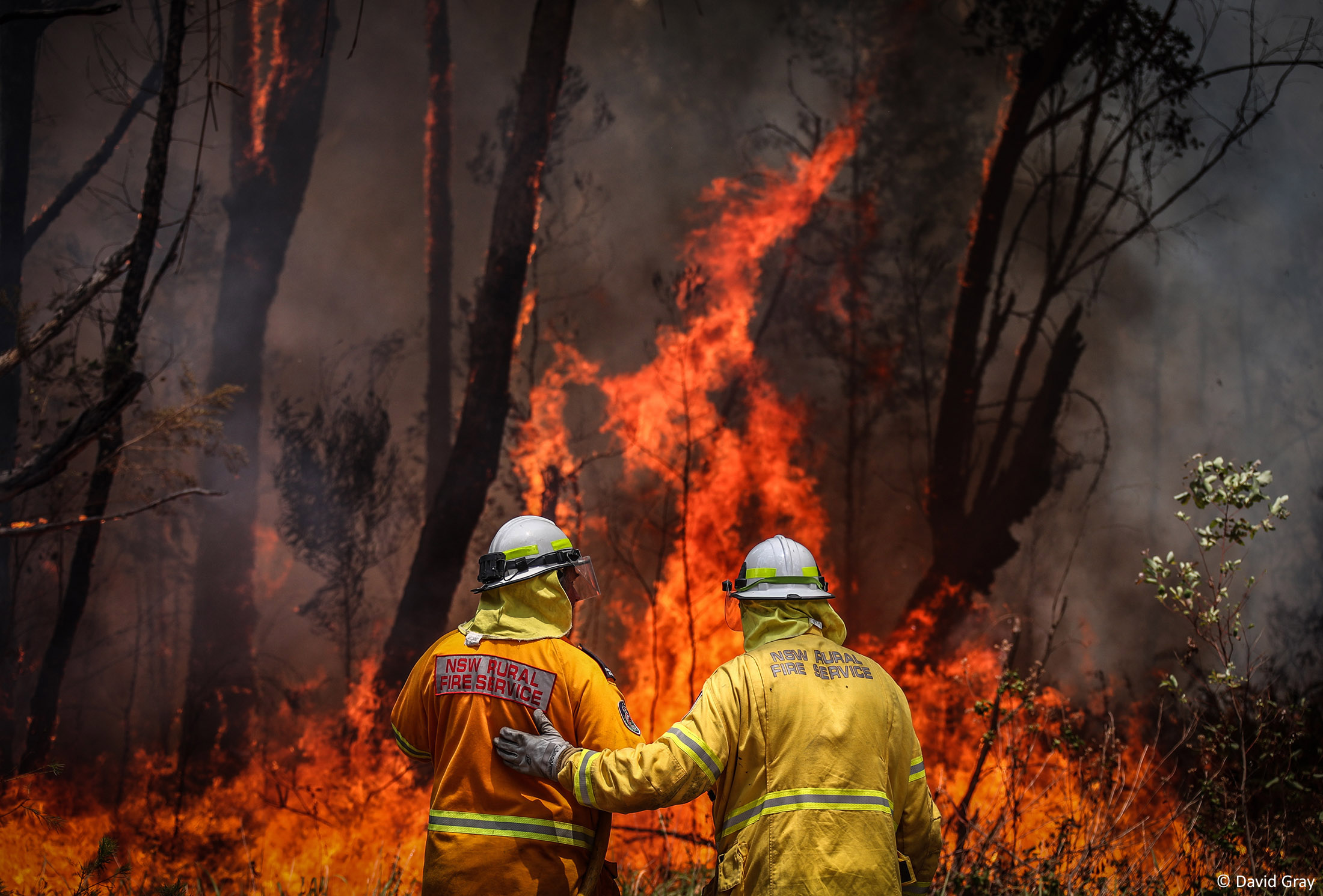 Australia on fire - firemen